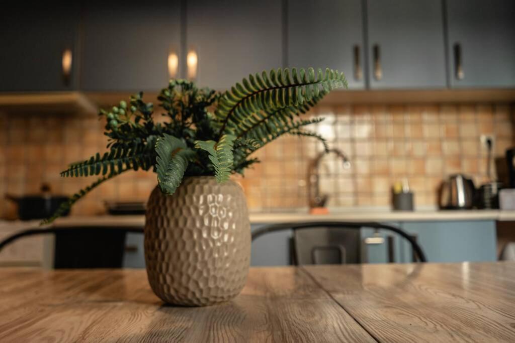 Aigli'S Urban Lodge Волос Экстерьер фото